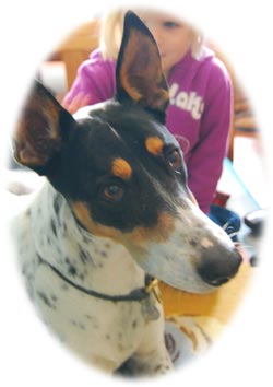 Skadi Kopf Tierheilpraktikerin aus Hannover